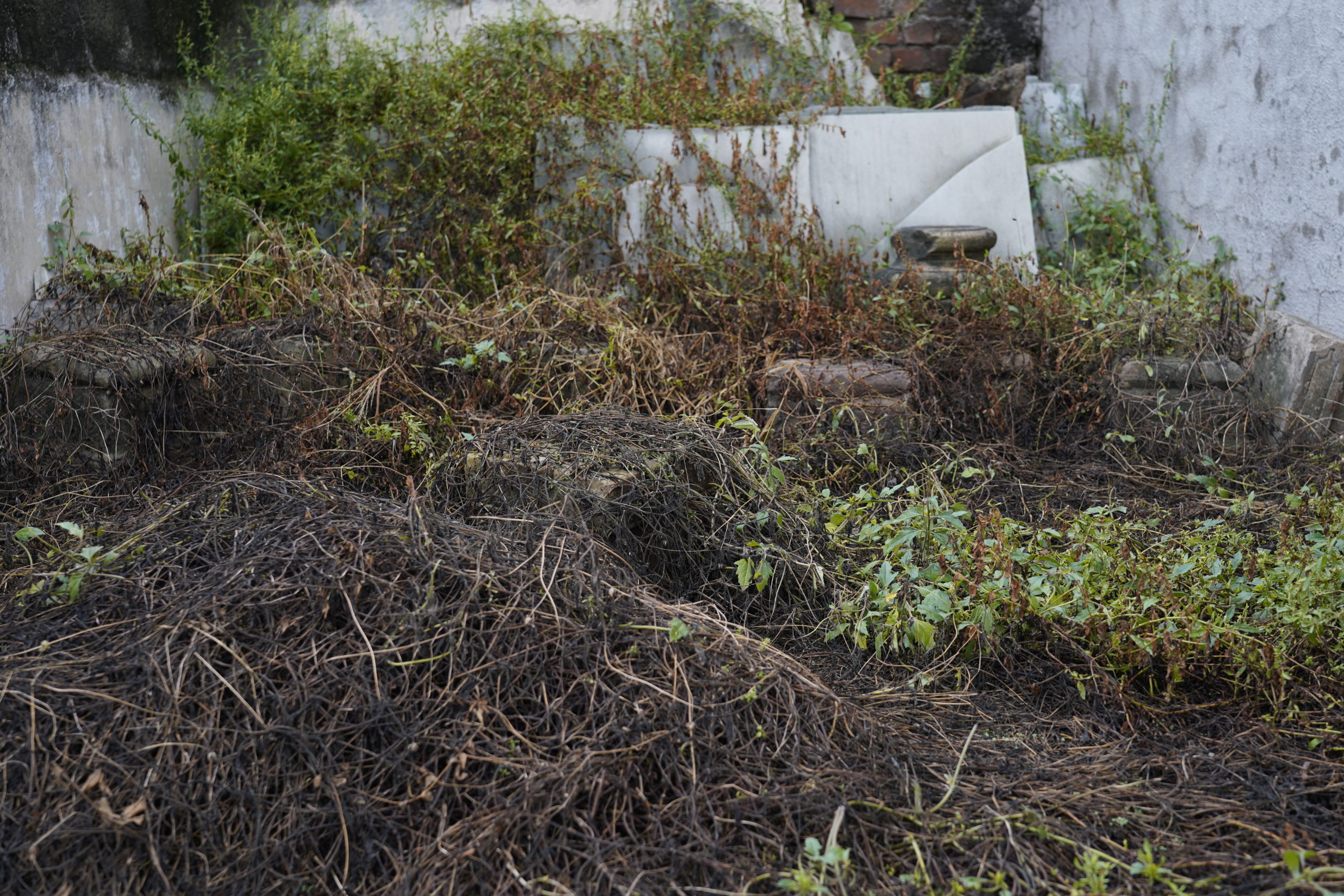 Stone remnants that once supported the pillars of the historic dharamashala, Dabhan