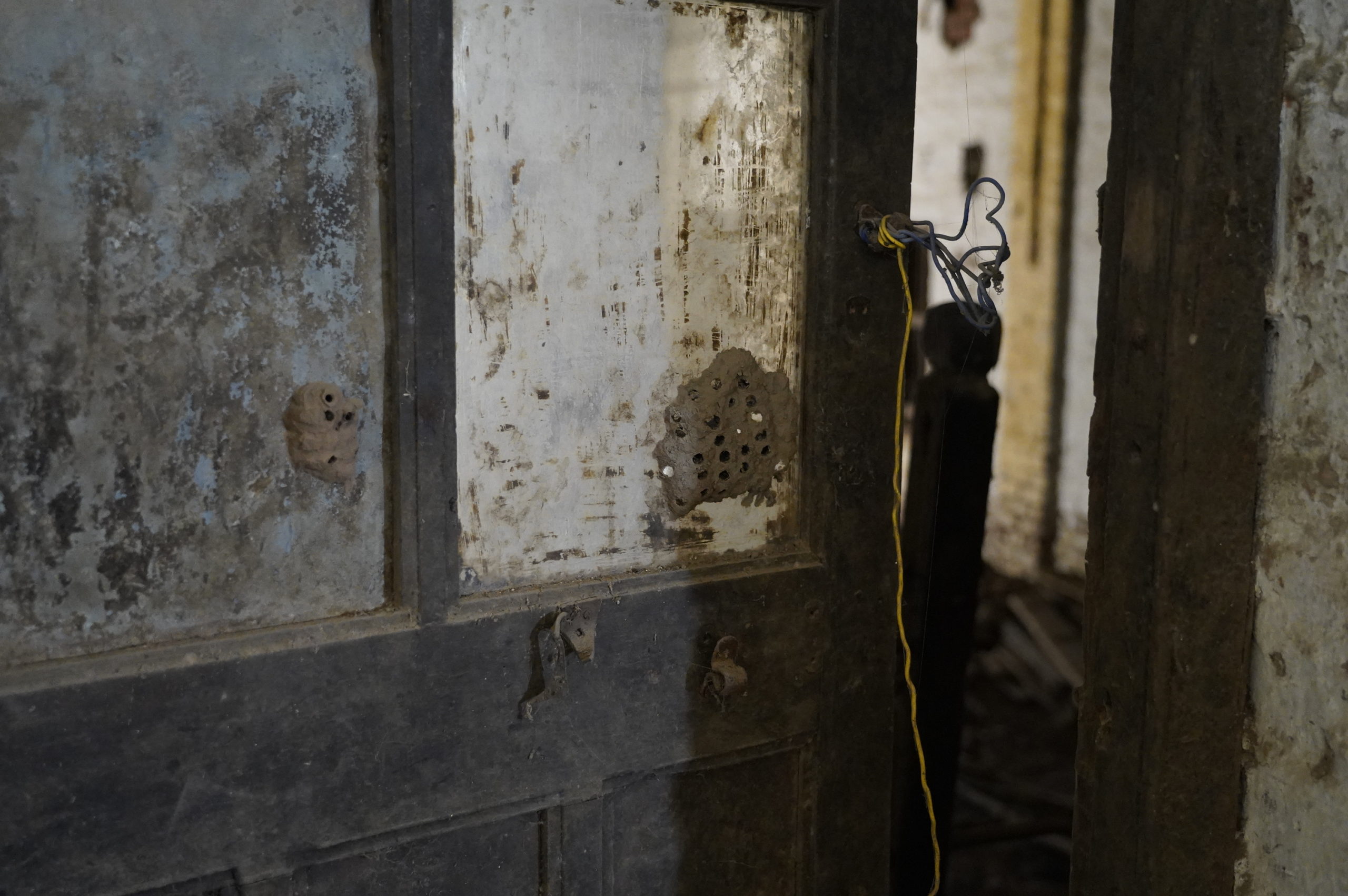 Inside the abandoned ginning mill, Derol