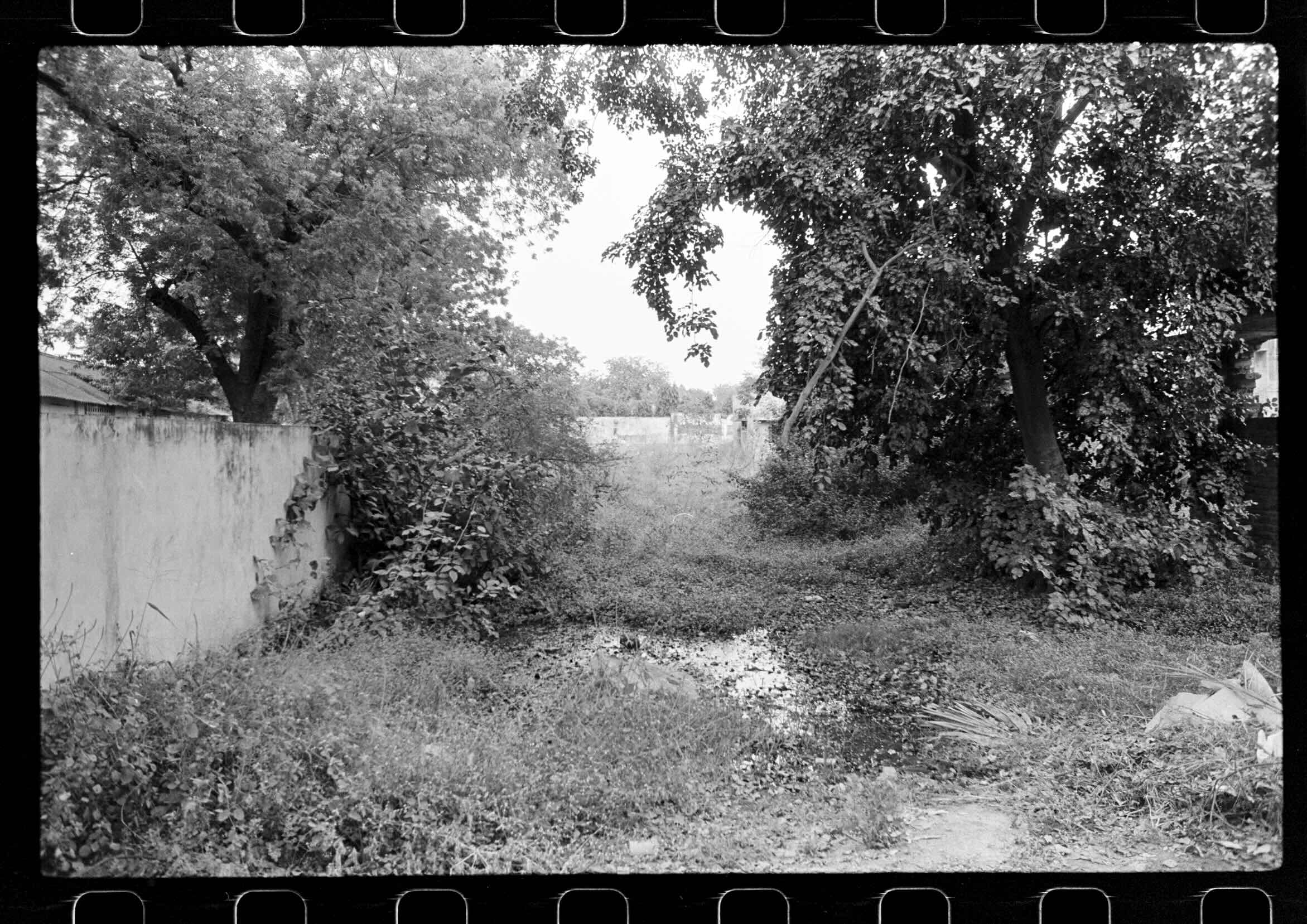 05 05 AA_FN_Roll_10_31-31