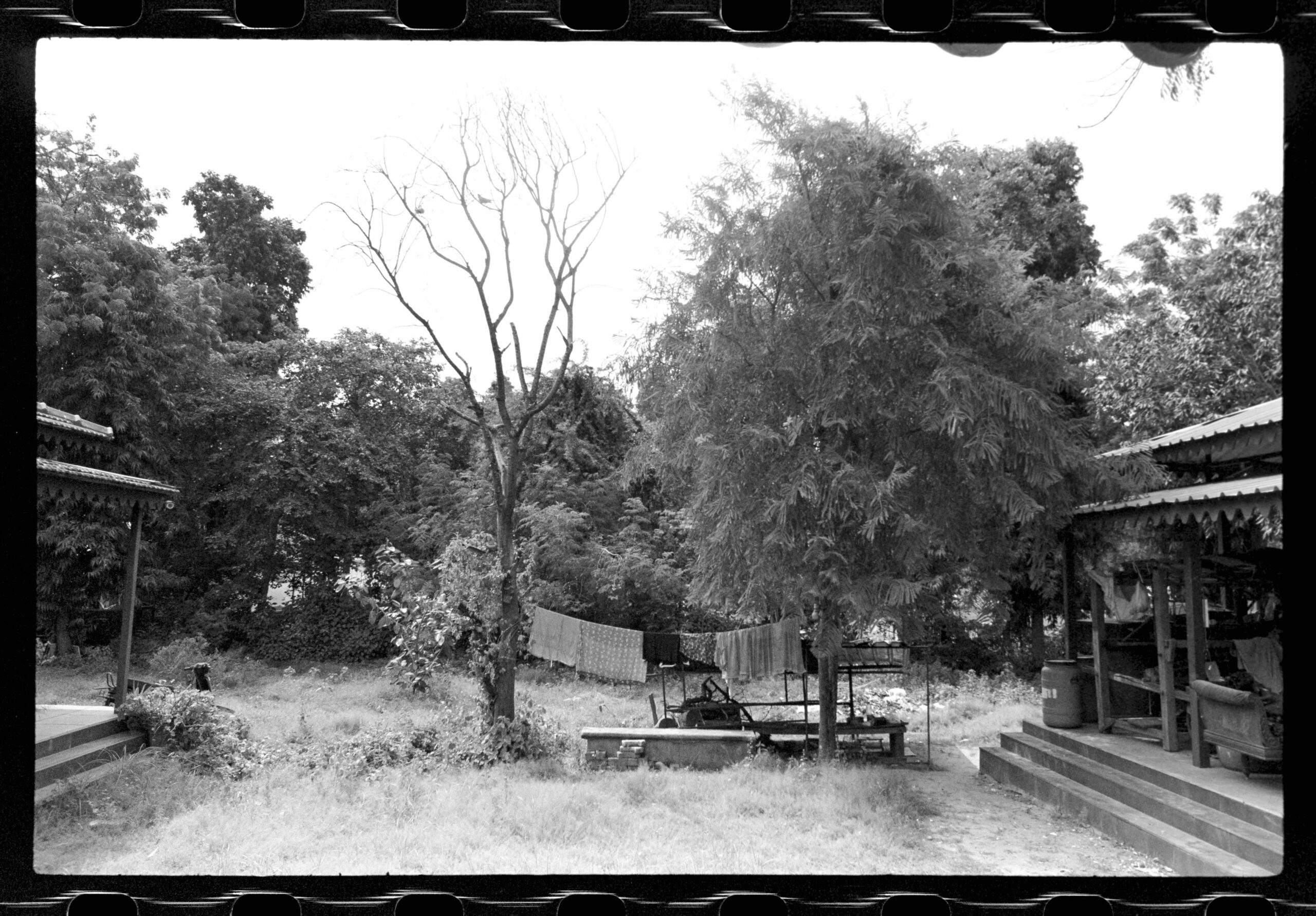 08 08 AA_FN_Roll_07_19A-