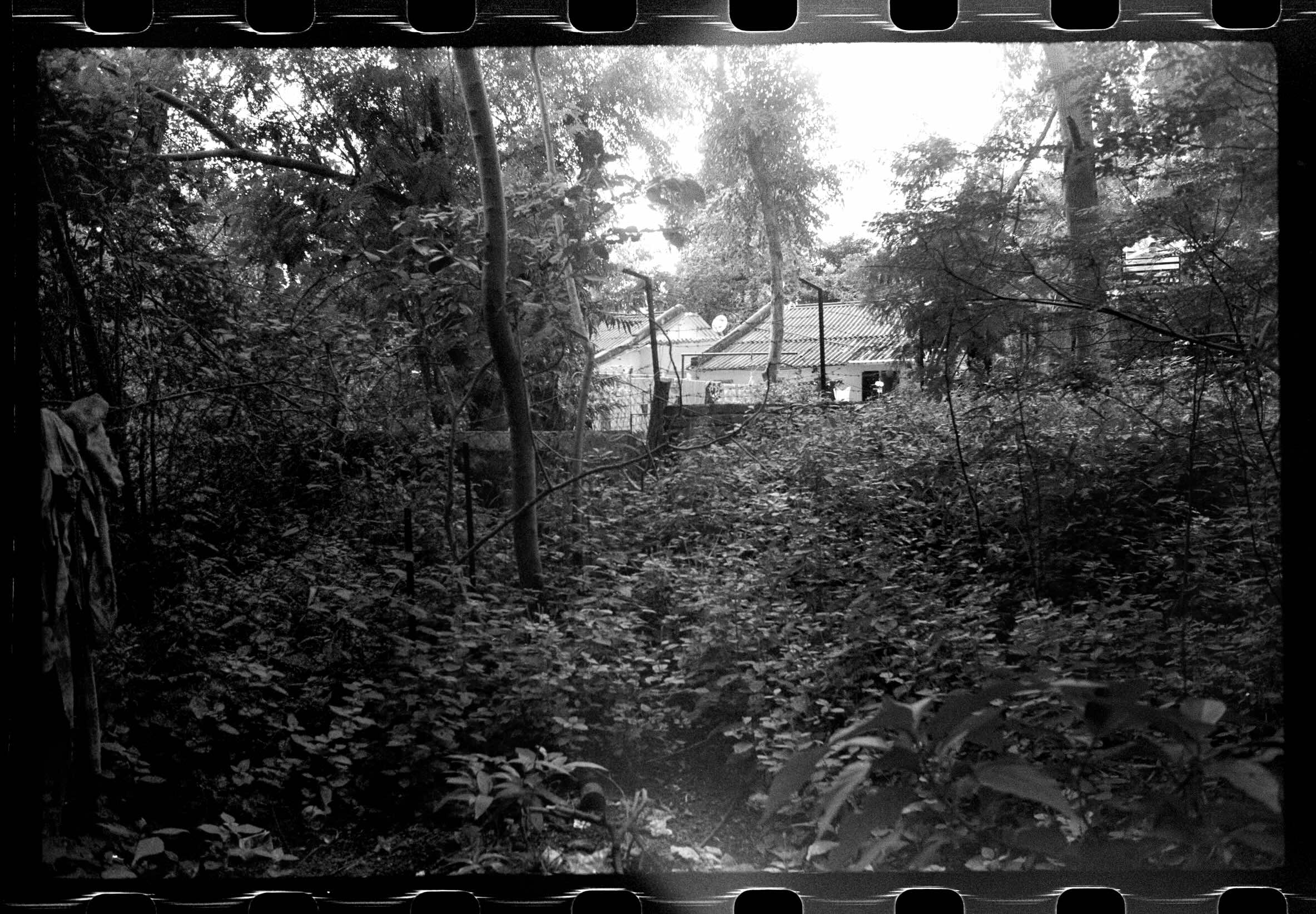 10 21 AA_FN_Roll_08_29-29