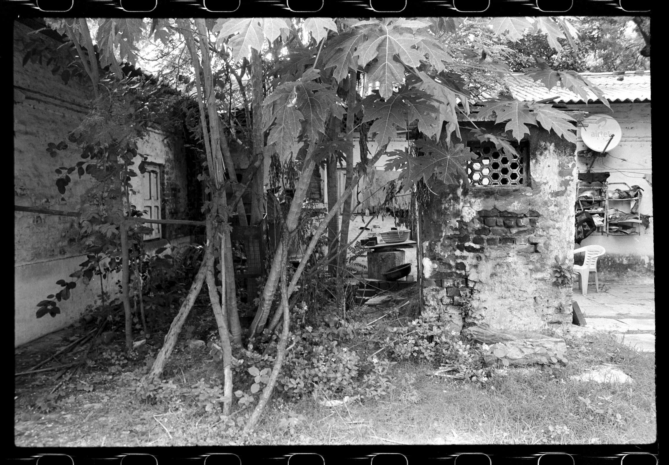 17 02 AA_FN_Roll_05_33-33